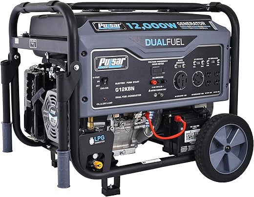 Pulsar G12KBN vs WEN 56475 Generator Comparison